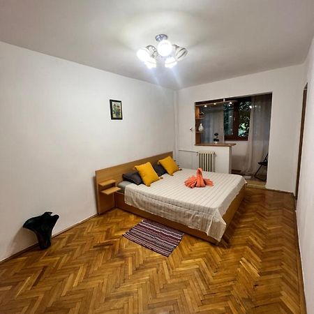 Miha Modern And Central Apartament Malul Muresului アラド エクステリア 写真