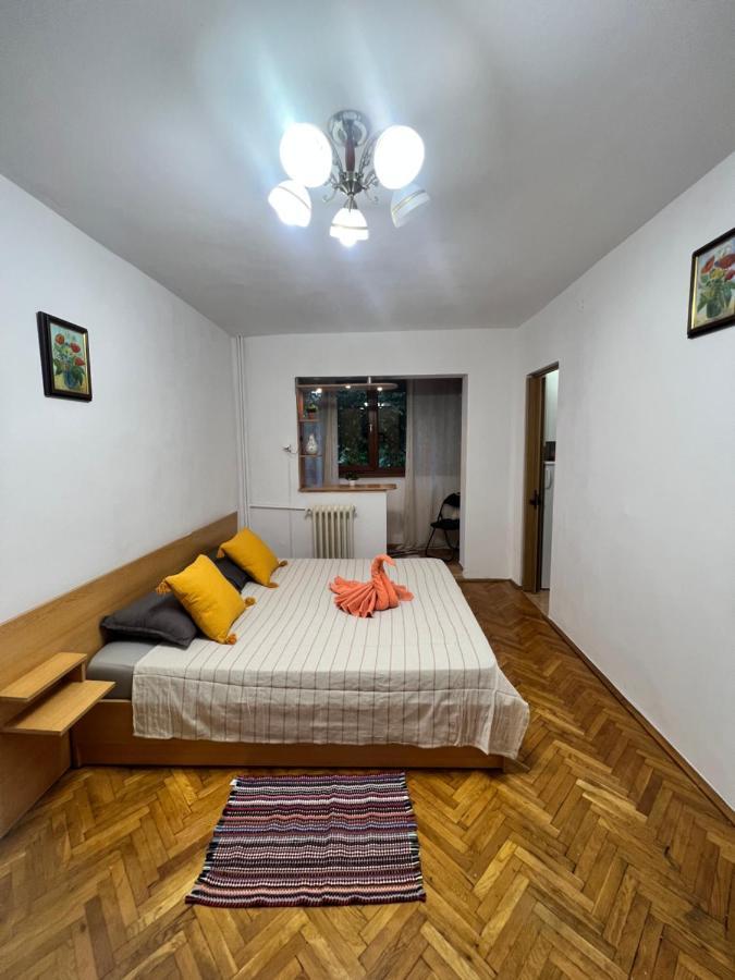 Miha Modern And Central Apartament Malul Muresului アラド エクステリア 写真