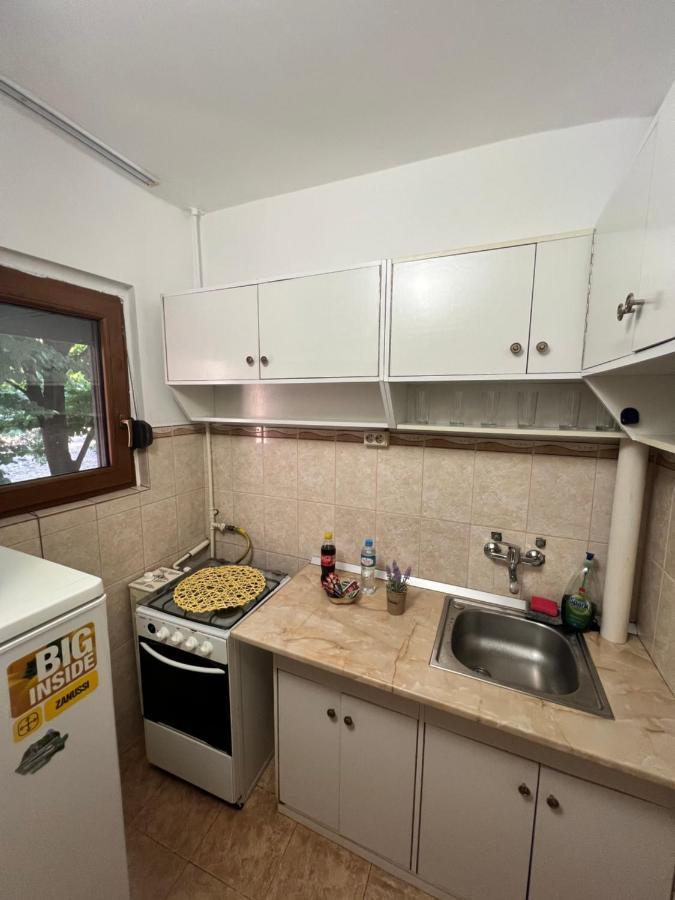 Miha Modern And Central Apartament Malul Muresului アラド エクステリア 写真