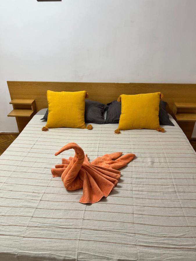 Miha Modern And Central Apartament Malul Muresului アラド エクステリア 写真