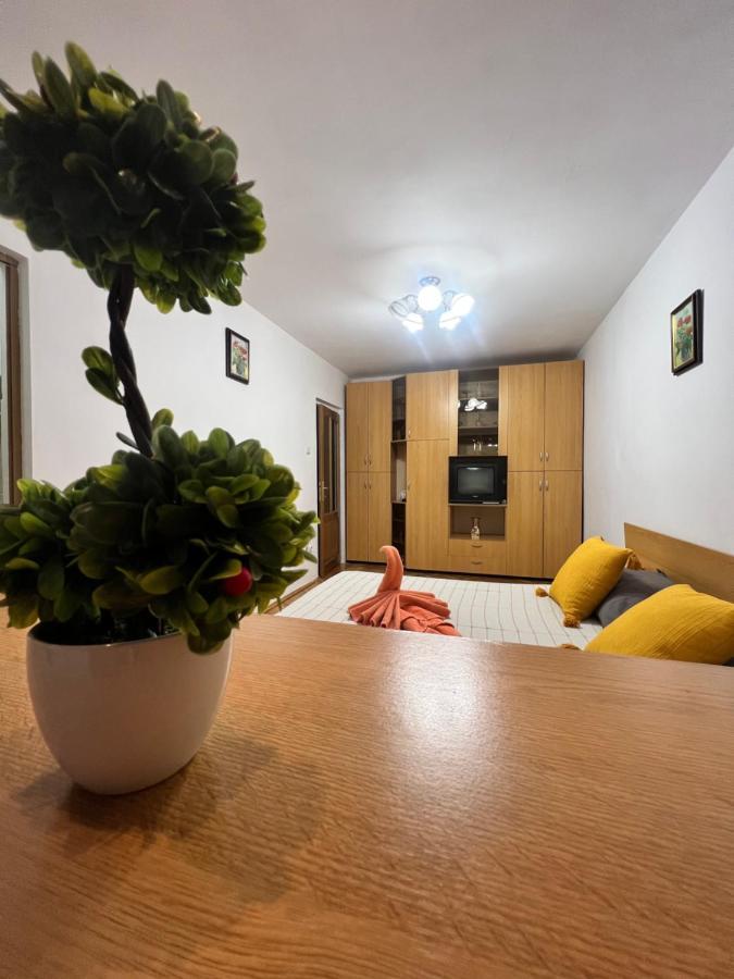 Miha Modern And Central Apartament Malul Muresului アラド エクステリア 写真