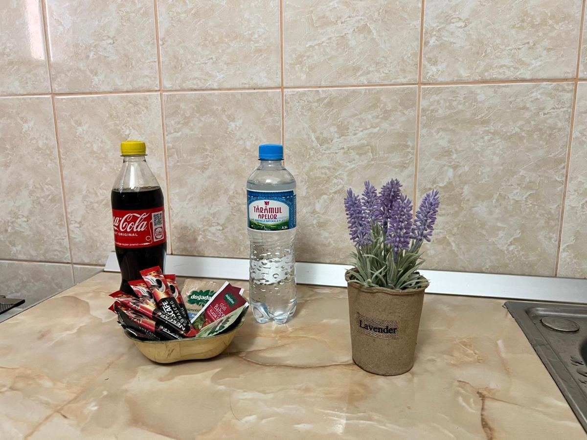 Miha Modern And Central Apartament Malul Muresului アラド エクステリア 写真