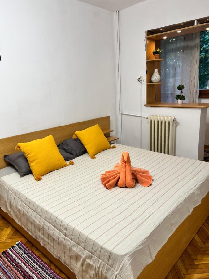 Miha Modern And Central Apartament Malul Muresului アラド エクステリア 写真