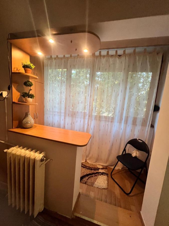 Miha Modern And Central Apartament Malul Muresului アラド エクステリア 写真