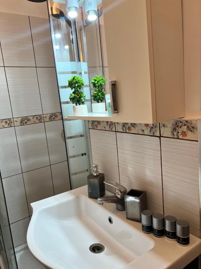 Miha Modern And Central Apartament Malul Muresului アラド エクステリア 写真