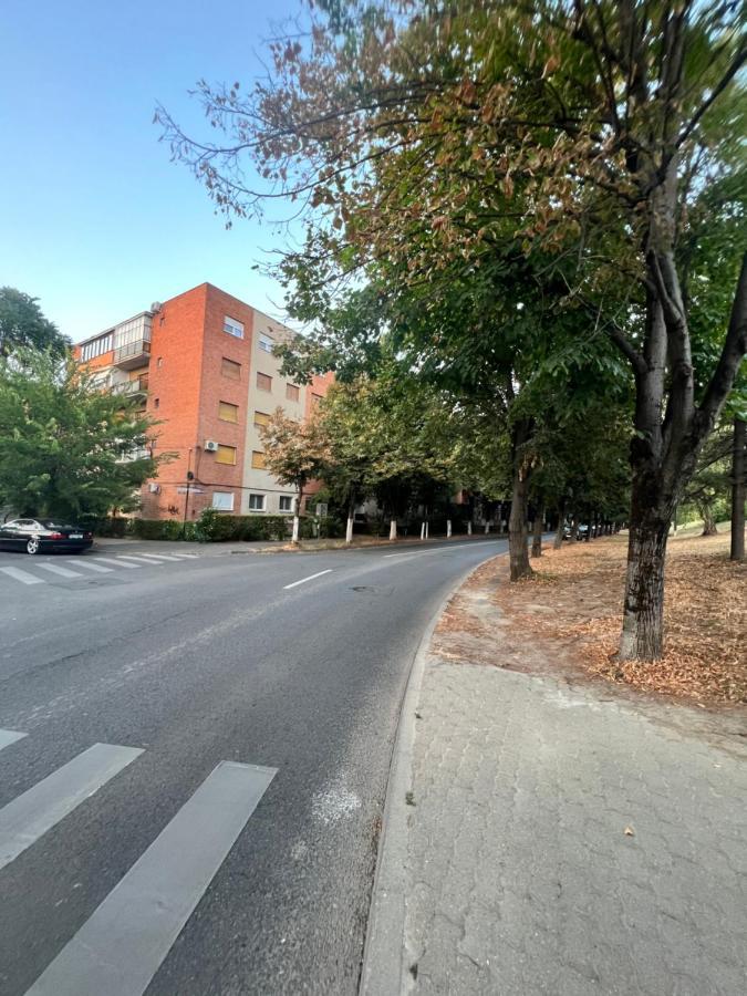 Miha Modern And Central Apartament Malul Muresului アラド エクステリア 写真