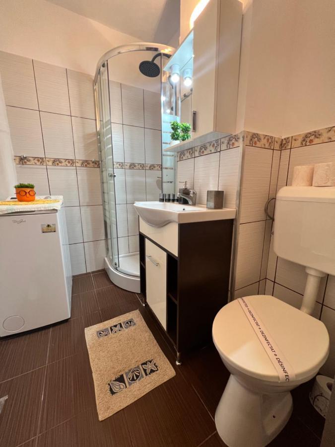 Miha Modern And Central Apartament Malul Muresului アラド エクステリア 写真