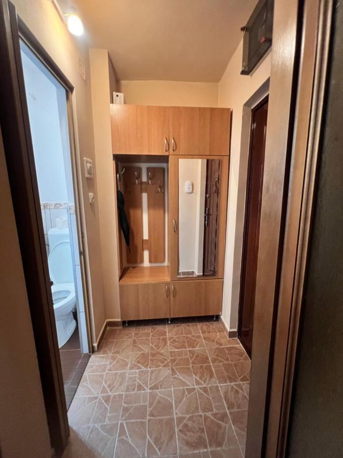 Miha Modern And Central Apartament Malul Muresului アラド エクステリア 写真